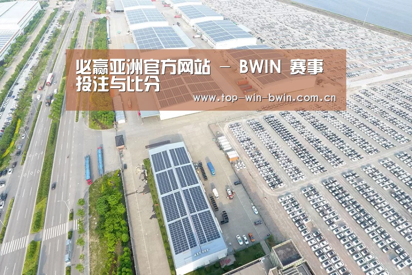 案例展示一