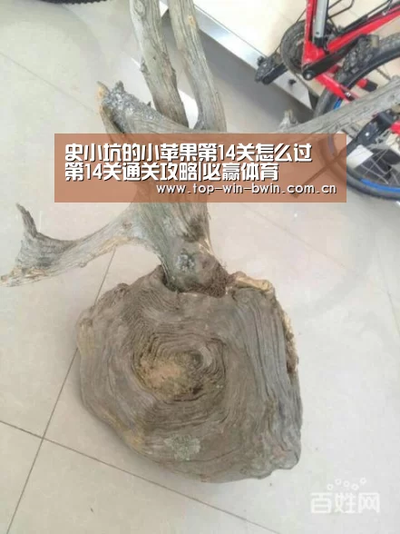史小坑的小苹果第14关怎么过 第14关通关攻略|必赢体育(图3) 必赢